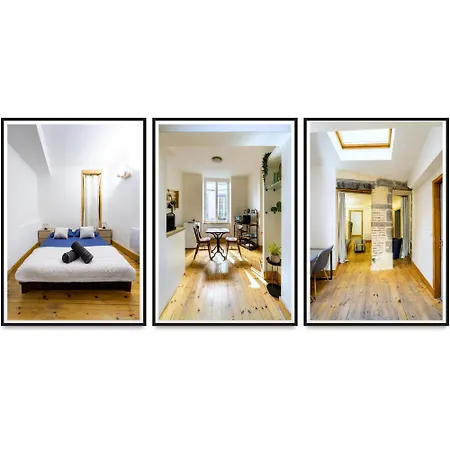 アパート Cosy & Duplex - Au Coeur De La Vieille クレルモン・フェラン