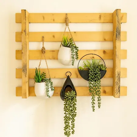 Cosy & Duplex - Au Coeur De La Vieille *