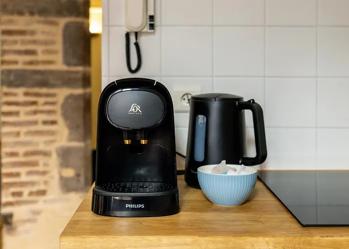 Cosy & Duplex - Au Coeur De La Vieille Apartment Clermont-Ferrand