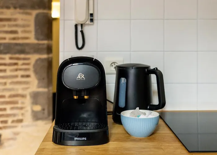 Apartment Cosy & Duplex - Au Coeur De La Vieille Clermont-Ferrand